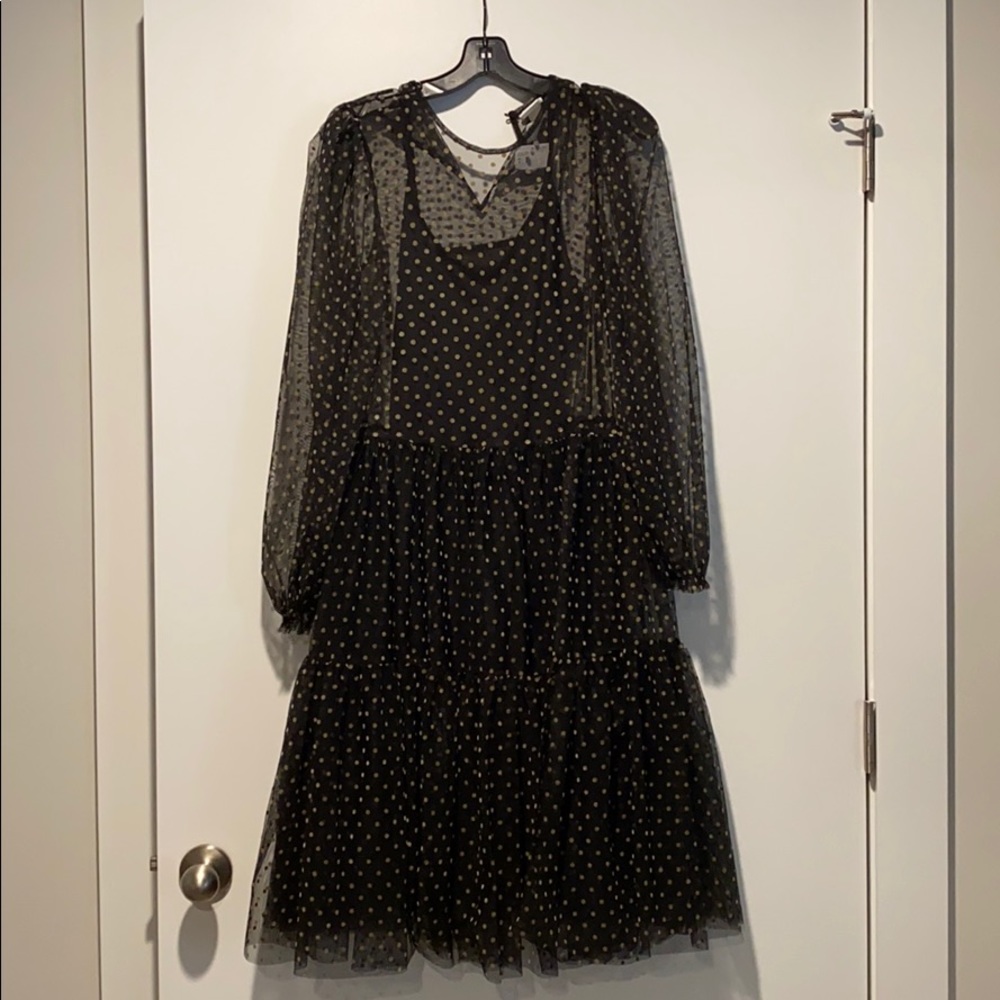 Polka dot tulle dress